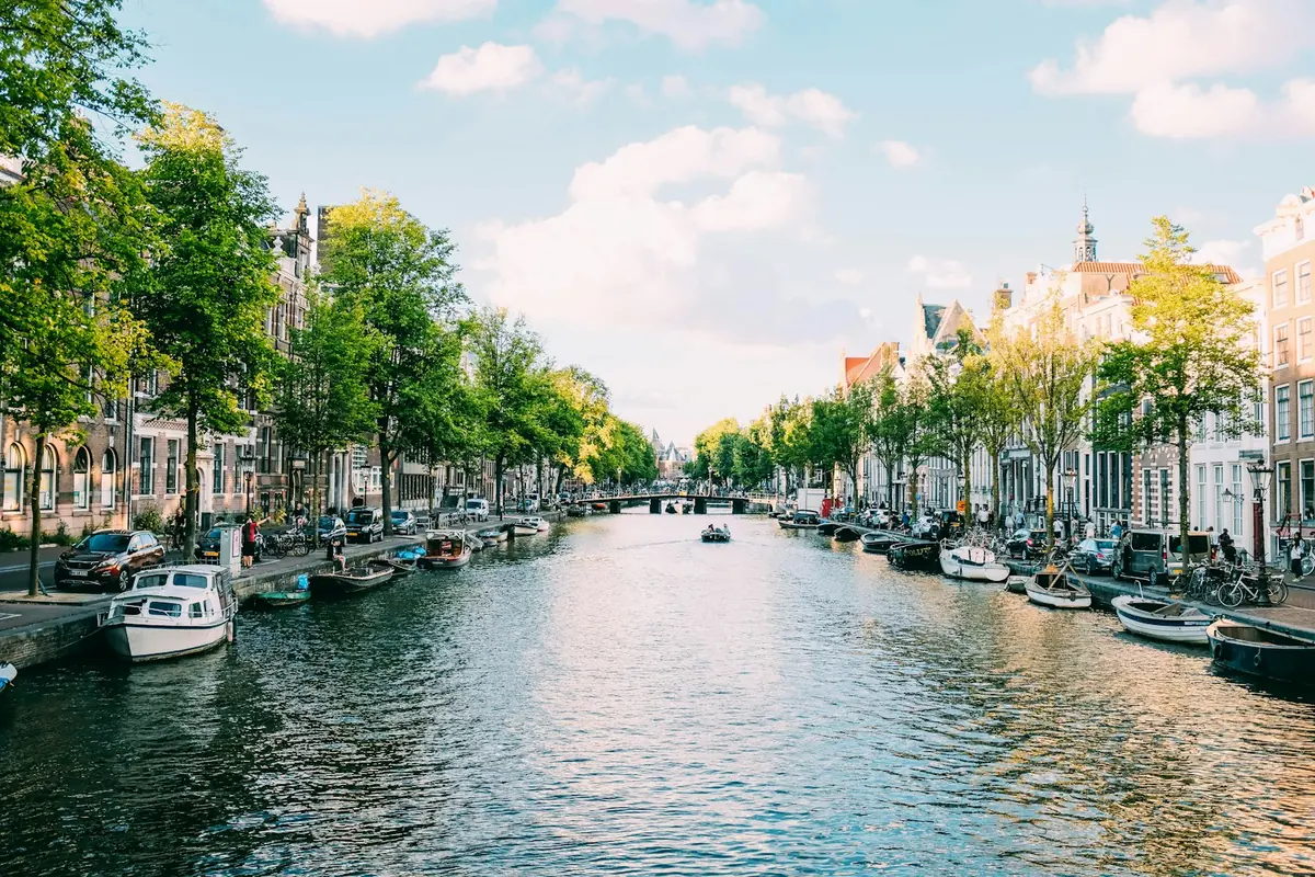 A tree-lined canal with historic houses, Amsterdam